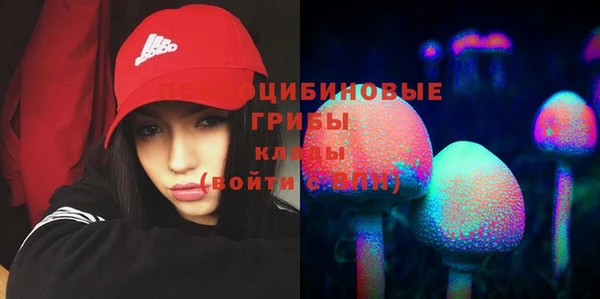 амф Лысьва